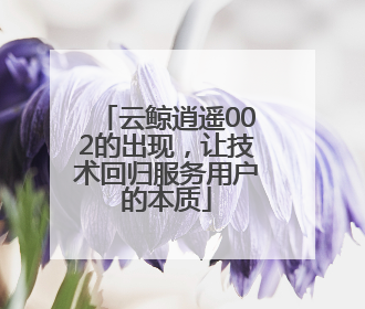 云鲸逍遥002的出现，让技术回归服务用户的本质