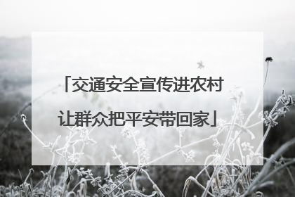 交通安全宣传进农村 让群众把平安带回家