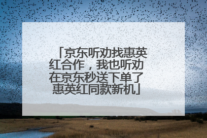 京东听劝找惠英红合作，我也听劝在京东秒送下单了惠英红同款新机