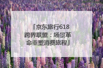 京东旅行618跨界联盟：场景革命重塑消费旅程