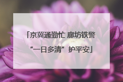 京冀通勤忙 廊坊铁警“一日多清”护平安