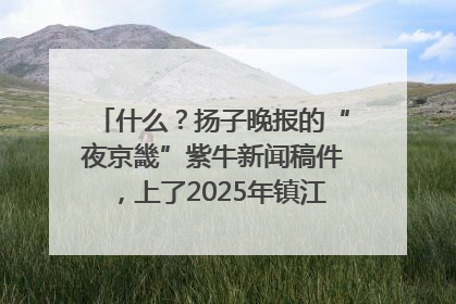 什么？扬子晚报的“夜京畿”紫牛新闻稿件，上了2025年镇江中考模拟卷！