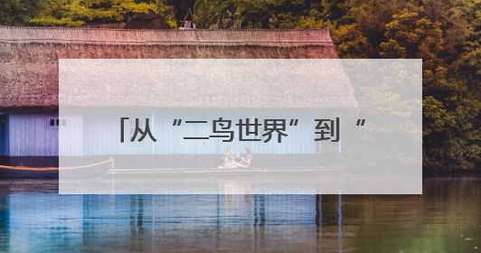 从“二鸟世界”到“五口之家” 一对东方白鹳的黄河口之恋