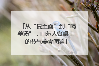 从“夏至面”到“喝羊汤”，山东人餐桌上的节气美食图鉴