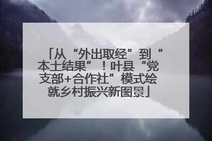 从“外出取经”到“本土结果”！叶县“党支部+合作社”模式绘就乡村振兴新图景