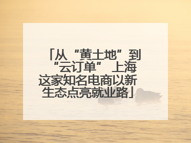 从“黄土地”到“云订单” 上海这家知名电商以新生态点亮就业路