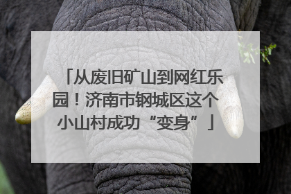 从废旧矿山到网红乐园！济南市钢城区这个小山村成功“变身”