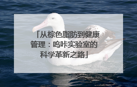 从棕色脂肪到健康管理：呜咔实验室的科学革新之路