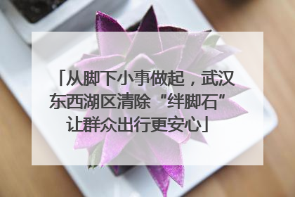 从脚下小事做起，武汉东西湖区清除“绊脚石”让群众出行更安心