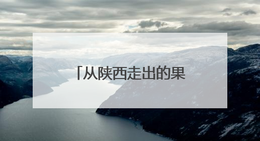 从陕西走出的果汁巨头，开始资产“大甩卖”