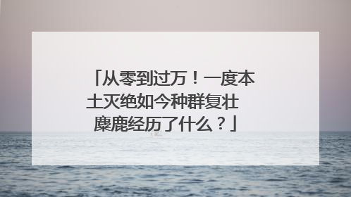 从零到过万！一度本土灭绝如今种群复壮 麋鹿经历了什么？