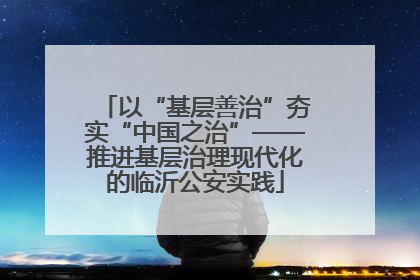 以“基层善治”夯实“中国之治”——推进基层治理现代化的临沂公安实践