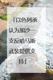 以色列承认为加沙一支反哈马斯武装提供支持