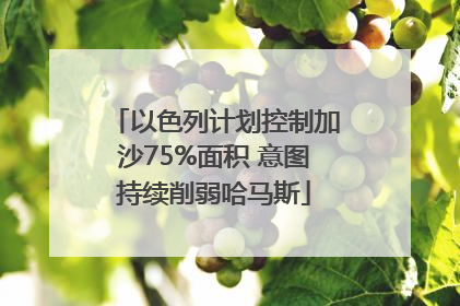 以色列计划控制加沙75%面积 意图持续削弱哈马斯