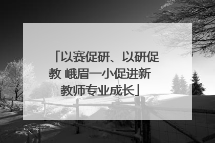 以赛促研、以研促教 峨眉一小促进新教师专业成长