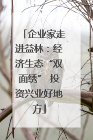 企业家走进益林：经济生态“双面绣” 投资兴业好地方