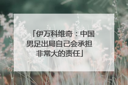 伊万科维奇：中国男足出局自己会承担非常大的责任
