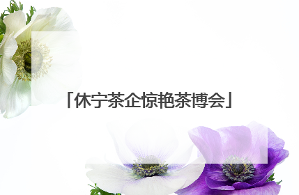 休宁茶企惊艳茶博会