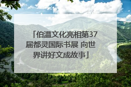 伯温文化亮相第37届都灵国际书展 向世界讲好文成故事