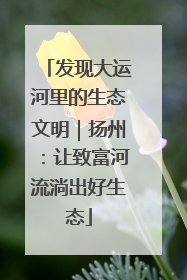 发现大运河里的生态文明｜扬州：让致富河流淌出好生态
