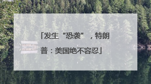 发生“恐袭”，特朗普：美国绝不容忍