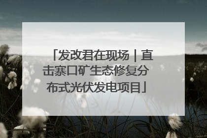 发改君在现场｜直击寨口矿生态修复分布式光伏发电项目