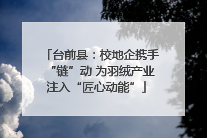 台前县：校地企携手“链”动 为羽绒产业注入“匠心动能”
