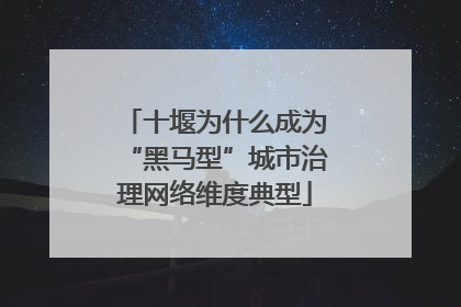 十堰为什么成为“黑马型”城市治理网络维度典型