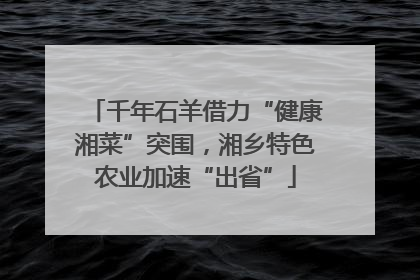 千年石羊借力“健康湘菜”突围，湘乡特色农业加速“出省”