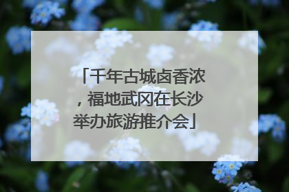 千年古城卤香浓，福地武冈在长沙举办旅游推介会