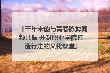 千年宋韵与青春脉搏同频共振 开封职业学院打造行走的文化课堂