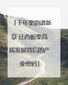 千年栗韵谱新章 迁西板栗高质发展背后的产业密码