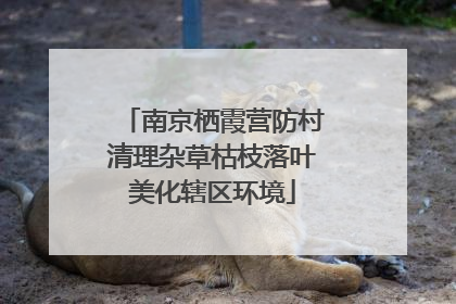 南京栖霞营防村清理杂草枯枝落叶美化辖区环境
