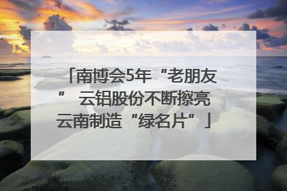南博会5年“老朋友” 云铝股份不断擦亮云南制造“绿名片”