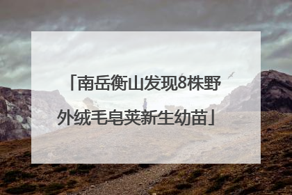 南岳衡山发现8株野外绒毛皂荚新生幼苗