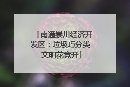 南通崇川经济开发区：垃圾巧分类 文明花竞开