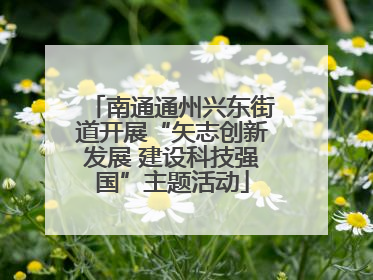 南通通州兴东街道开展“矢志创新发展 建设科技强国”主题活动