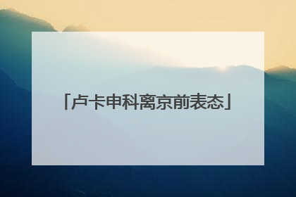 卢卡申科离京前表态