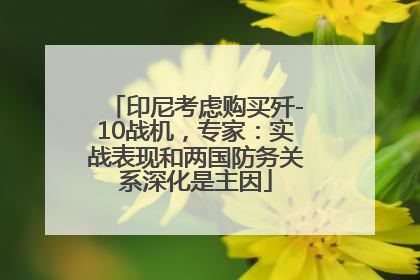 印尼考虑购买歼-10战机，专家：实战表现和两国防务关系深化是主因