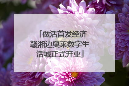 做活首发经济 赣湘边奥莱数字生活城正式开业