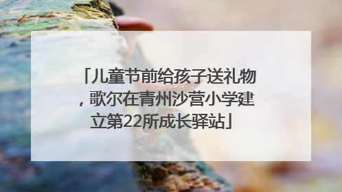 儿童节前给孩子送礼物，歌尔在青州沙营小学建立第22所成长驿站