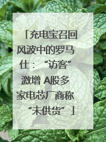 充电宝召回风波中的罗马仕：“访客”激增 A股多家电芯厂商称“未供货”