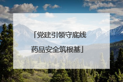 党建引领守底线 药品安全筑根基
