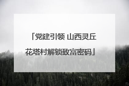 党建引领 山西灵丘花塔村解锁致富密码