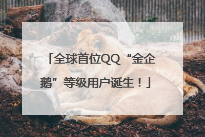 全球首位QQ“金企鹅”等级用户诞生！