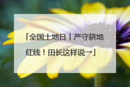 全国土地日丨严守耕地红线！田长这样说→