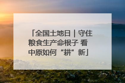 全国土地日｜守住粮食生产命根子 看中原如何“耕”新