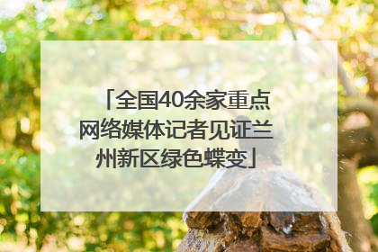 全国40余家重点网络媒体记者见证兰州新区绿色蝶变