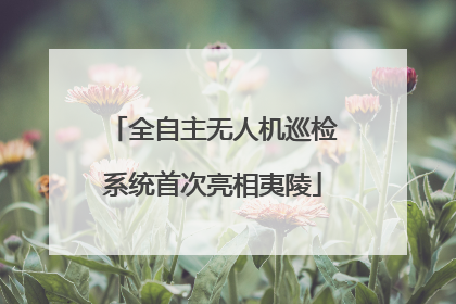 全自主无人机巡检系统首次亮相夷陵