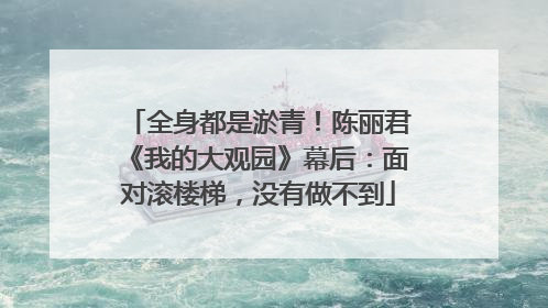 全身都是淤青！陈丽君《我的大观园》幕后：面对滚楼梯，没有做不到